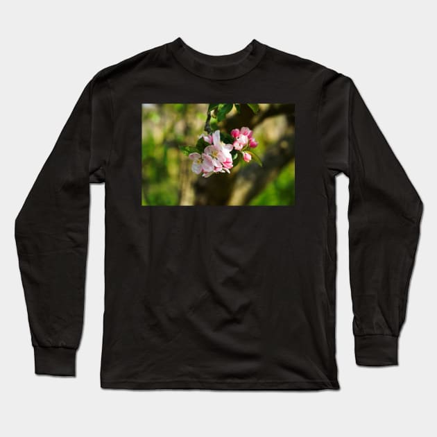 Blossom On Tree Branch (Closeup/Macro) - Spring Flowers Long Sleeve T-Shirt by Harmony-Mind